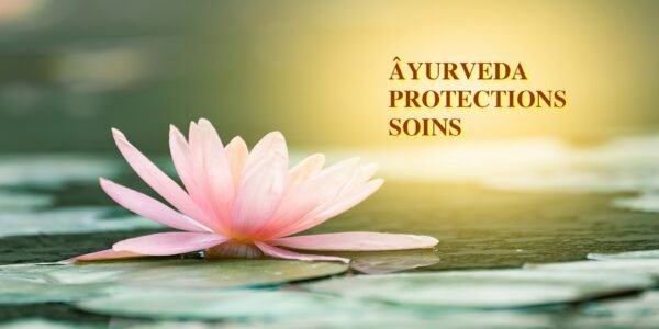 Beautiful lotus flower in pond,The symbol of the Buddha, Thailand.